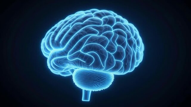 Futuristic Digital Human Brain Rotating with Glowing Neural Network on Dark Background