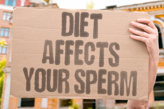 "Diet Affects Your Sperm" research confirms diet measurably affecting adult modern daily male sperm quality output. REAL. LIFE. MODERN. HUMAN. BODY.