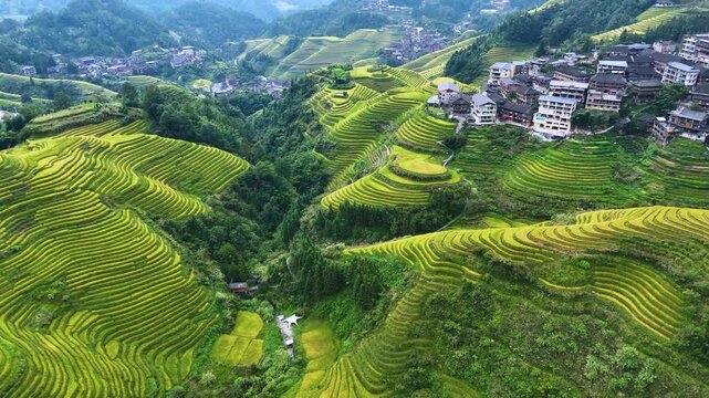 Aerial view of Longsheng Rice Terraces in the Guangxi Region, China