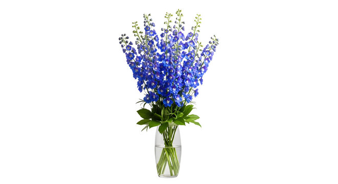 A clear vase holds a vibrant bouquet of blue flowers on a transparent background