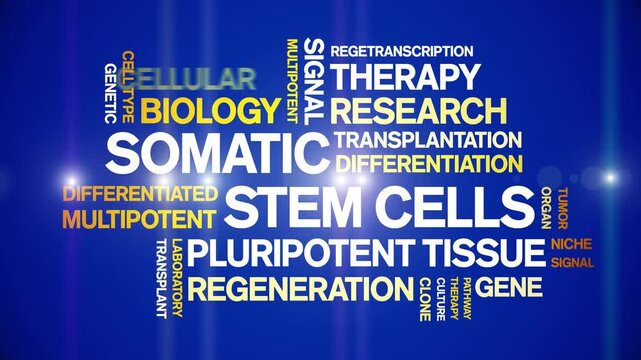 Somatic Stem Cells animated word cloud-text design animation tag kinetic typography seamless loop.