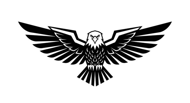 Black and white eagle bird flying.