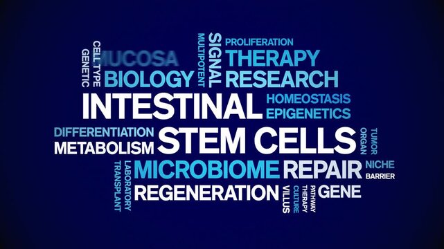 intestinal Stem Cells animated word cloud-gross domestic product animation tag kinetic typography seamless loop.