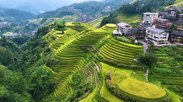 Aerial view of Longsheng Rice Terraces in the Guangxi Region, China