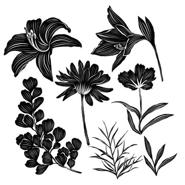 Black and white vector card with various flowers