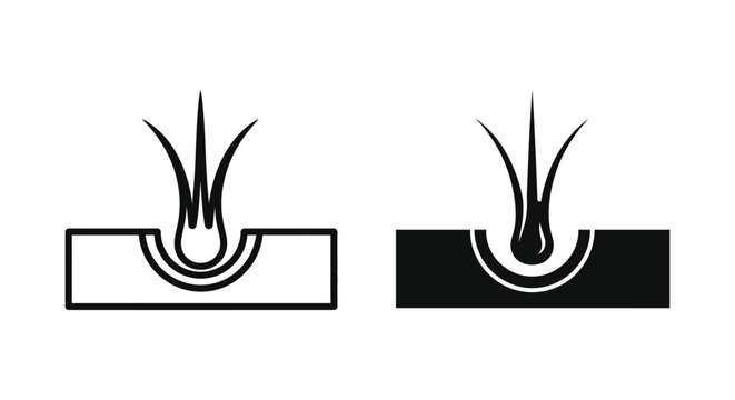 Hair follicle growth and skin treatment icon set showing root structure in outline and solid black graphic styles for dermatology and beauty industry