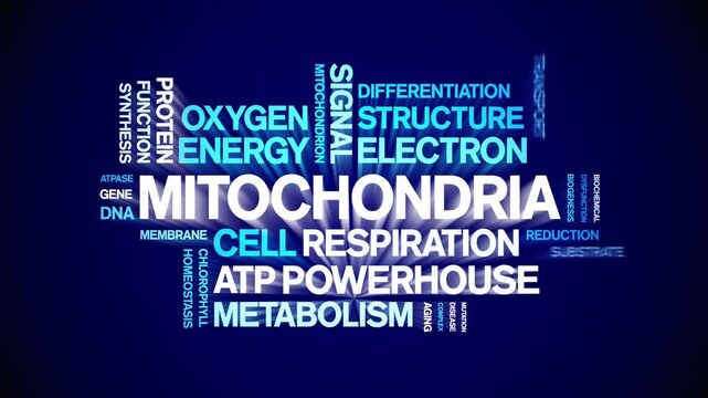 Mitochondria animated word cloud-gross domestic product animation tag kinetic typography seamless loop.