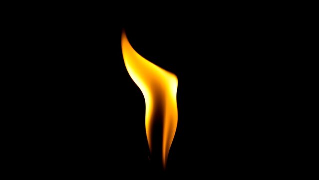 A single, intense flame burning vigorously against a pure black background.