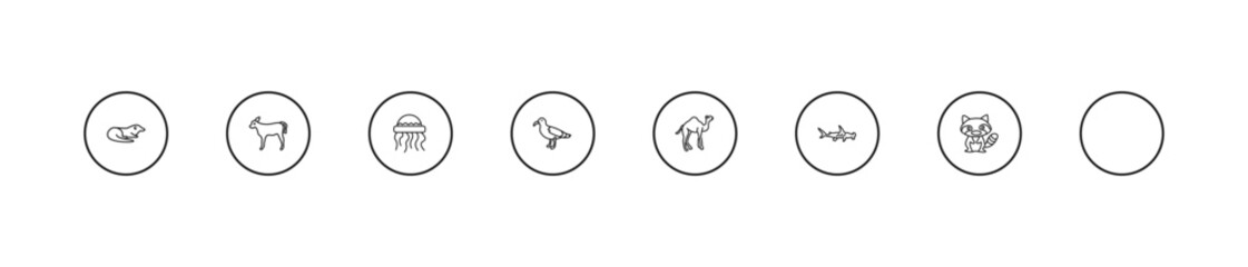 outline animals icons set - calf, medusa, albotros. editable vector for web and mobile ui © IconArt