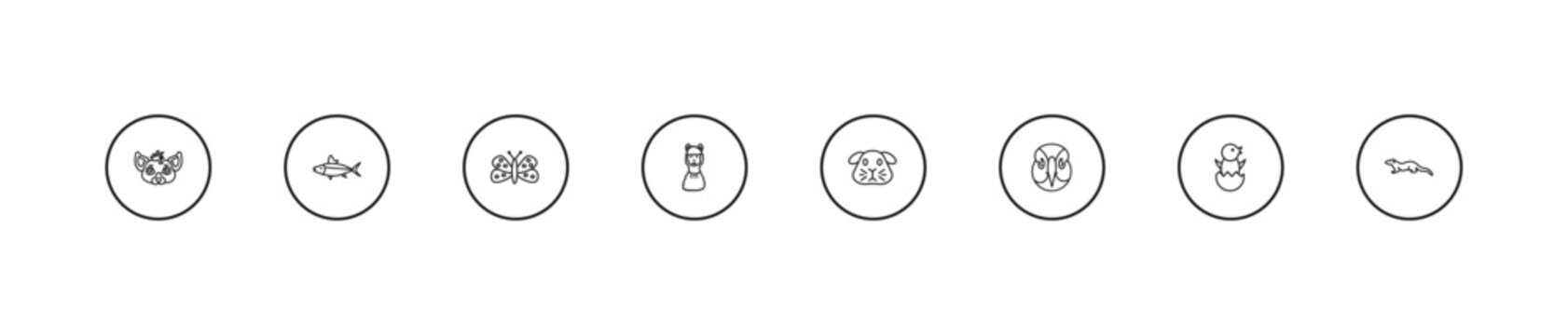 outline animals icons set - moth, llama, guinea pig. editable vector for web and mobile ui