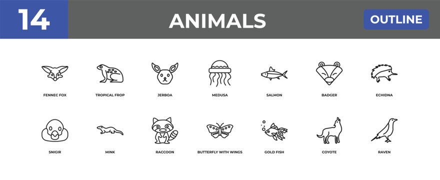 outline animals icons set - fennec fox, tropical frop, coyote. editable vector for web and mobile ui