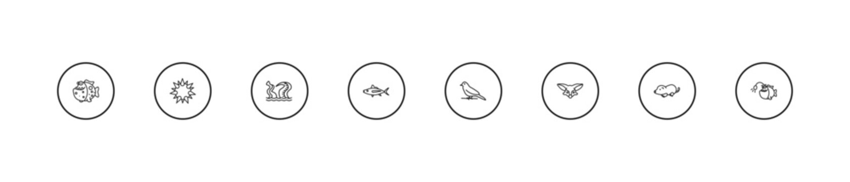 outline animals icons set - kraken, tuna, canary. editable vector for web and mobile ui