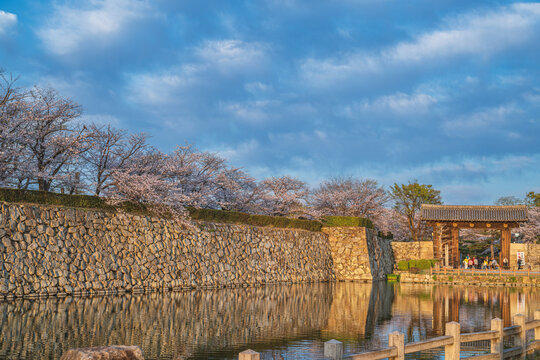 姫路城 内堀と桜門の夕景