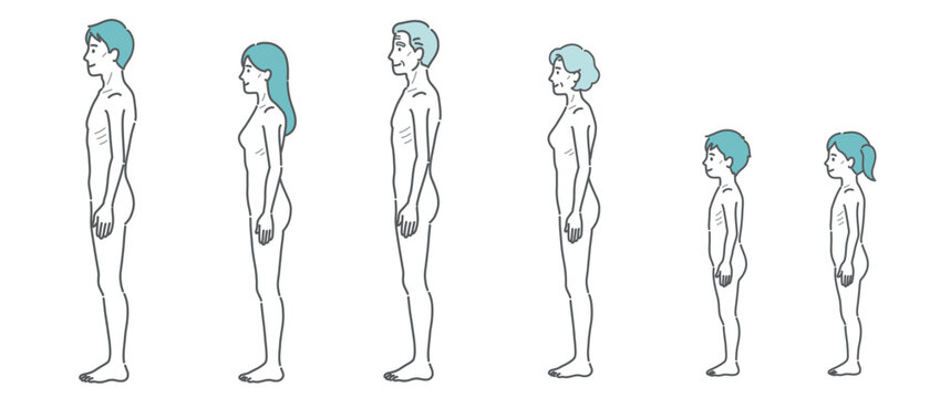 痩せ型の人体イラスト全世代セット（側面）