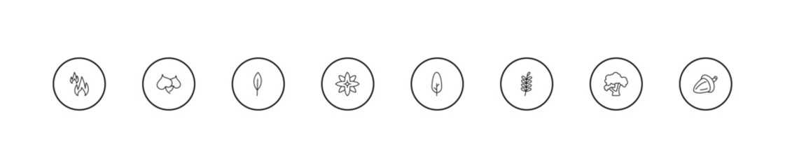 outline nature icons set - magnolia leaf, petals, cypress. editable vector for web and mobile ui © IconArt