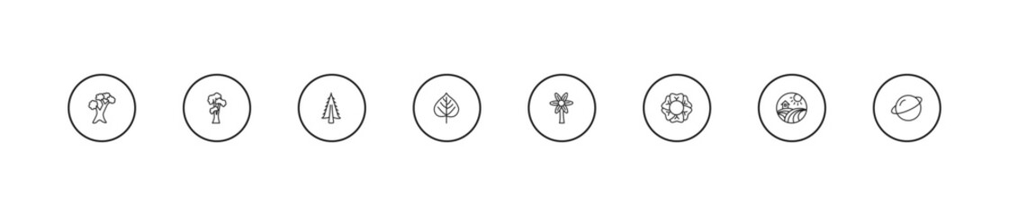 outline nature icons set - american larch tree, birch, hypericum. editable vector for web and mobile ui © IconArt