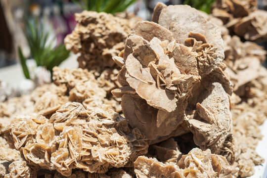 Roses des sables