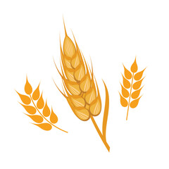 Fototapeta premium Ear of wheat icon set vector isolated on a white background. Golden wheat ear symbol. Cereal plant graphic design element. Yellow grain ear drawing