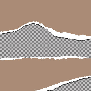 Versatile Torn Paper Collage & Ripped Edge Vector Collection