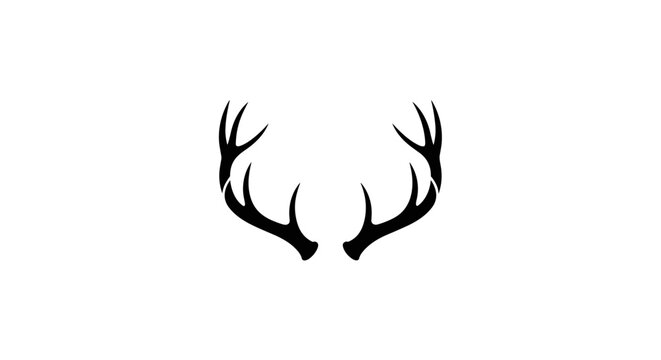 Deer antlers on white background.