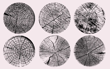 Plakat Set of linear tree stump prints isolated on white, wooden silhouettes with concentric annual rings. Black and white cross section wood textures, detailed tree ring pattern vector for natural design.