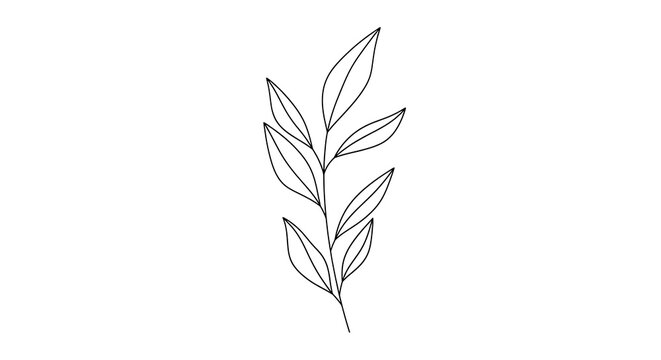 Minimalist leaf illustration