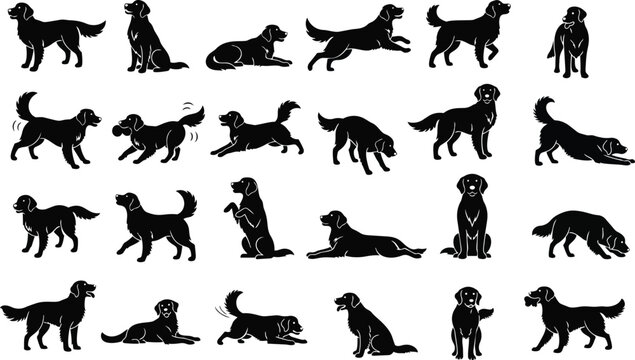 Golden Retriever Silhouette Set - Multi‑Pose Silhouettes for Crafts & Design