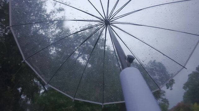 Time lapse, POV video: walk through park with clear umbrella overhead during rainstorm, against gray sky and treetops. View of parasol over head, with raindrops dripping down its transparent dome