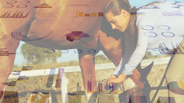 Woman lifting horse hoof onto stool preparing and fitting shoe under chart overlays for hoof care