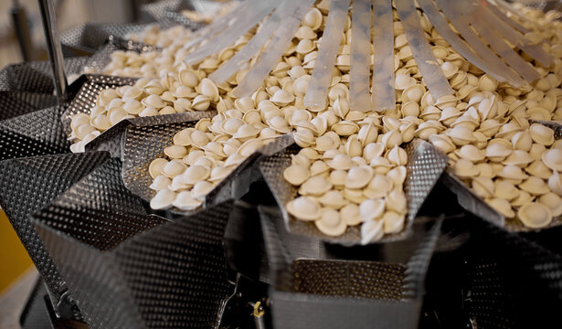 Raw dumplings moving on conveyor belt, part of automated food manufacturing process