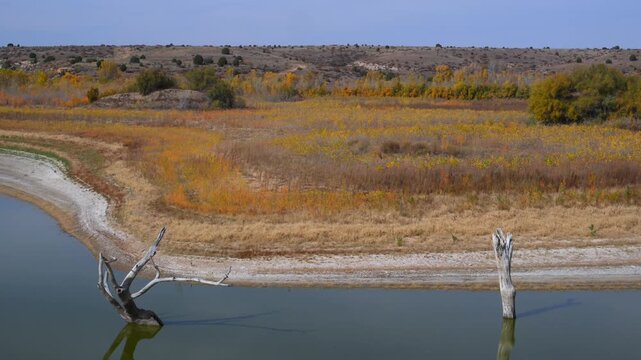 Dry, dead trees standing in a desiccating lake, wildlife of Oklahoma in autumn. Lake Carl Etling
