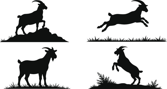 Black goat silhouette collection, mountain ibex standing, jumping and rearing on rocks and grass, wildlife animal illustration isolated white background