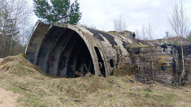 Decaying wartime bunker with graffiti, set among wild vegetation