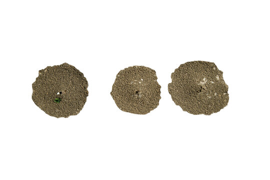 three ant hills isolated on transparent background 