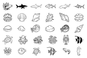 Marine life and seashells hand-drawn vector set. Detailed line art of shark, turtle, octopus, lobster, and various sea shells. Nautical underwater collection for summer design and ocean decor. © Olena Hnatiuk