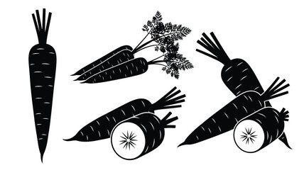 Black and white carrot illustration with detailed foliage a striking silhouette © Hiron