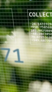 Vertical video: On sensor scan AR overlay animating pie, bars, numbers and graph, collecting data