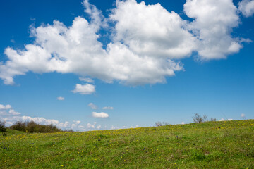 Obraz premium a lush green meadow under a brilliant blue sky filled with fluffy white cumulus clouds, captured in the balkan countryside of bulgaria.