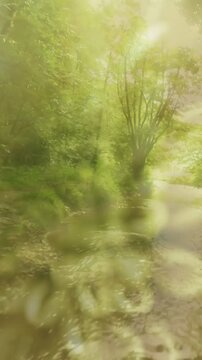 Vertical video: Stream flowing as sun shifting, making bokeh, view gliding, showing stones for haze