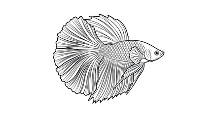 Betta Fish Line Art Illustration © mboku