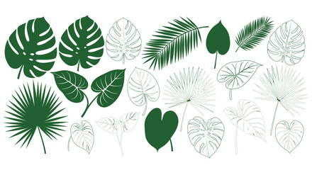 Tropical leaves vector set with monstera and palm leaf line art © mboku