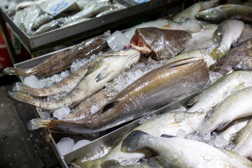 Obraz premium Fresh raw whole fish display resting on cold crushed ice inside bustling local seafood market tray offering an inviting and appetizing catch for healthy daily culinary nutrition