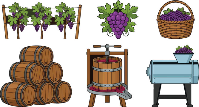Winemaking process set grape harvest barrels and wine press equipment vineyard vector illustration collection