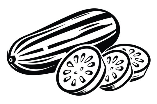Organic Courgette Slices Vector Illustration in Monochrome Hand-Drawn Style