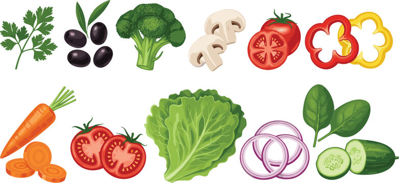 Fresh vegetables vector collection featuring tomato cucumber carrot lettuce broccoli onion pepper olives and herbs in colorful realistic style healthy food illustration set