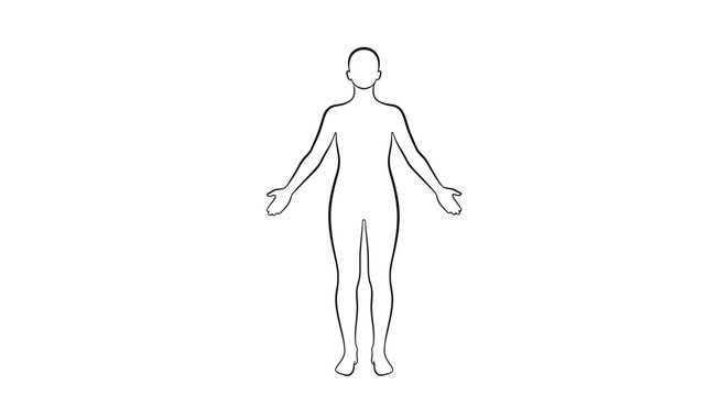 Minimalist black line drawing of a standing human body outline on a white background