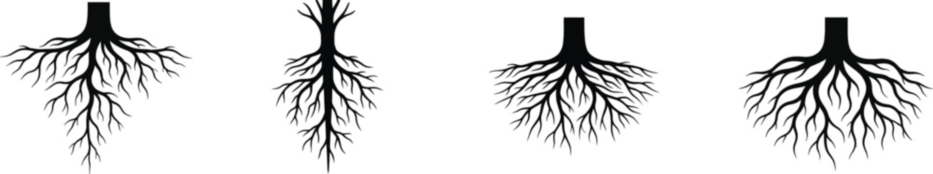 Set of four black tree root vector illustrations on white background