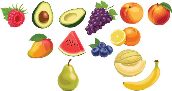 Fresh colorful fruits vector set including avocado, banana, watermelon, grapes, berries, citrus and tropical fruits in realistic detailed illustration style