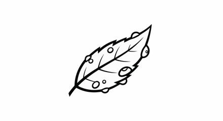 Fototapeta premium A stylized black and white drawing of a single leaf with water droplets