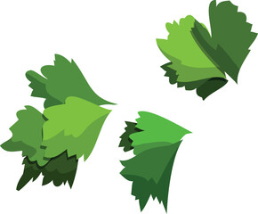 oak leaves and acorns © Jakir hasan